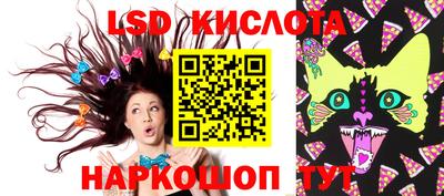 ECSTASY Новозыбков